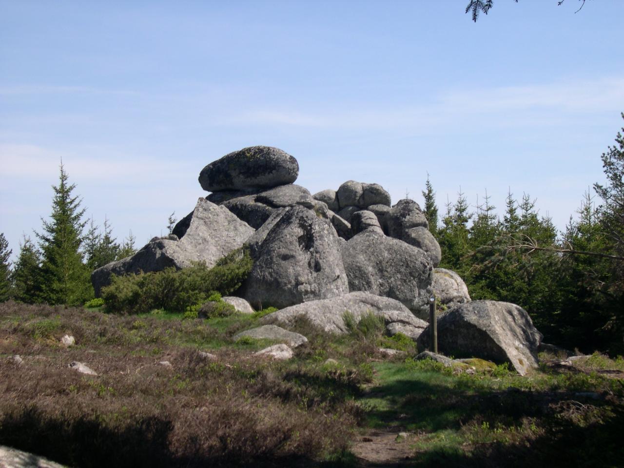 Le ronc de Chichiro