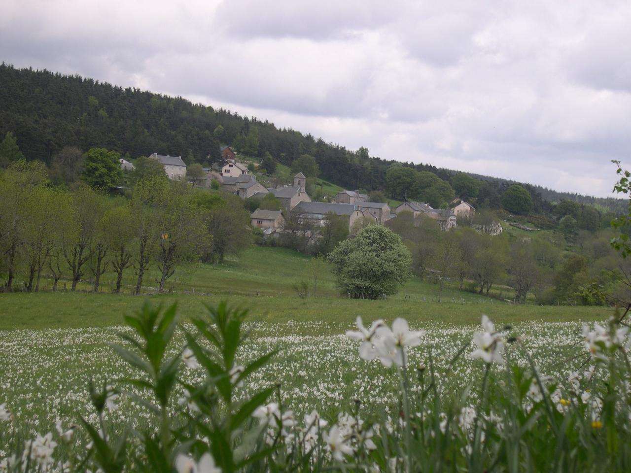 Lajo dans le lointain