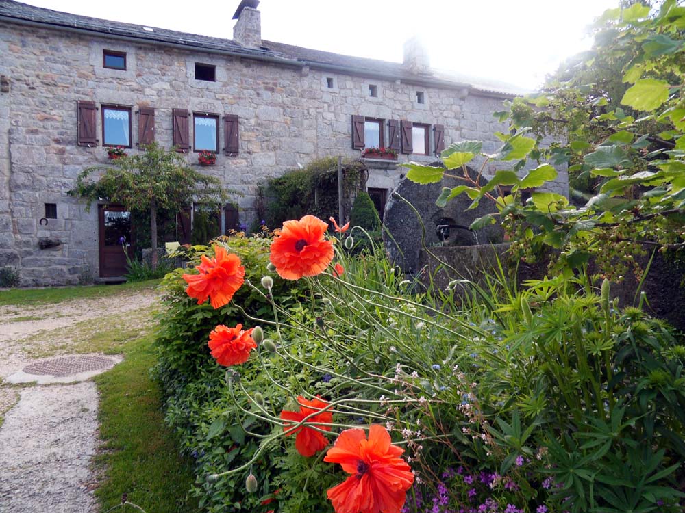 Gîte de Lajo en Lozère