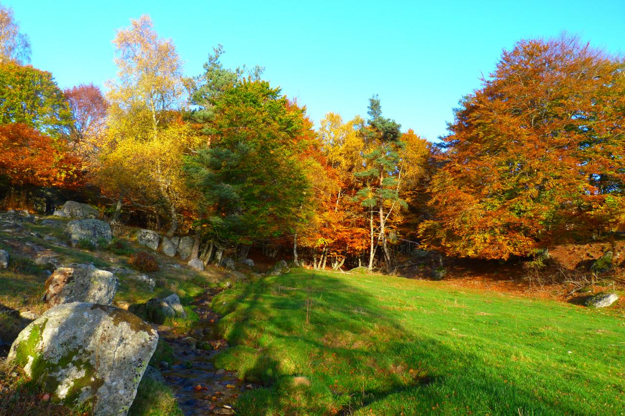 Couleurs d'automne