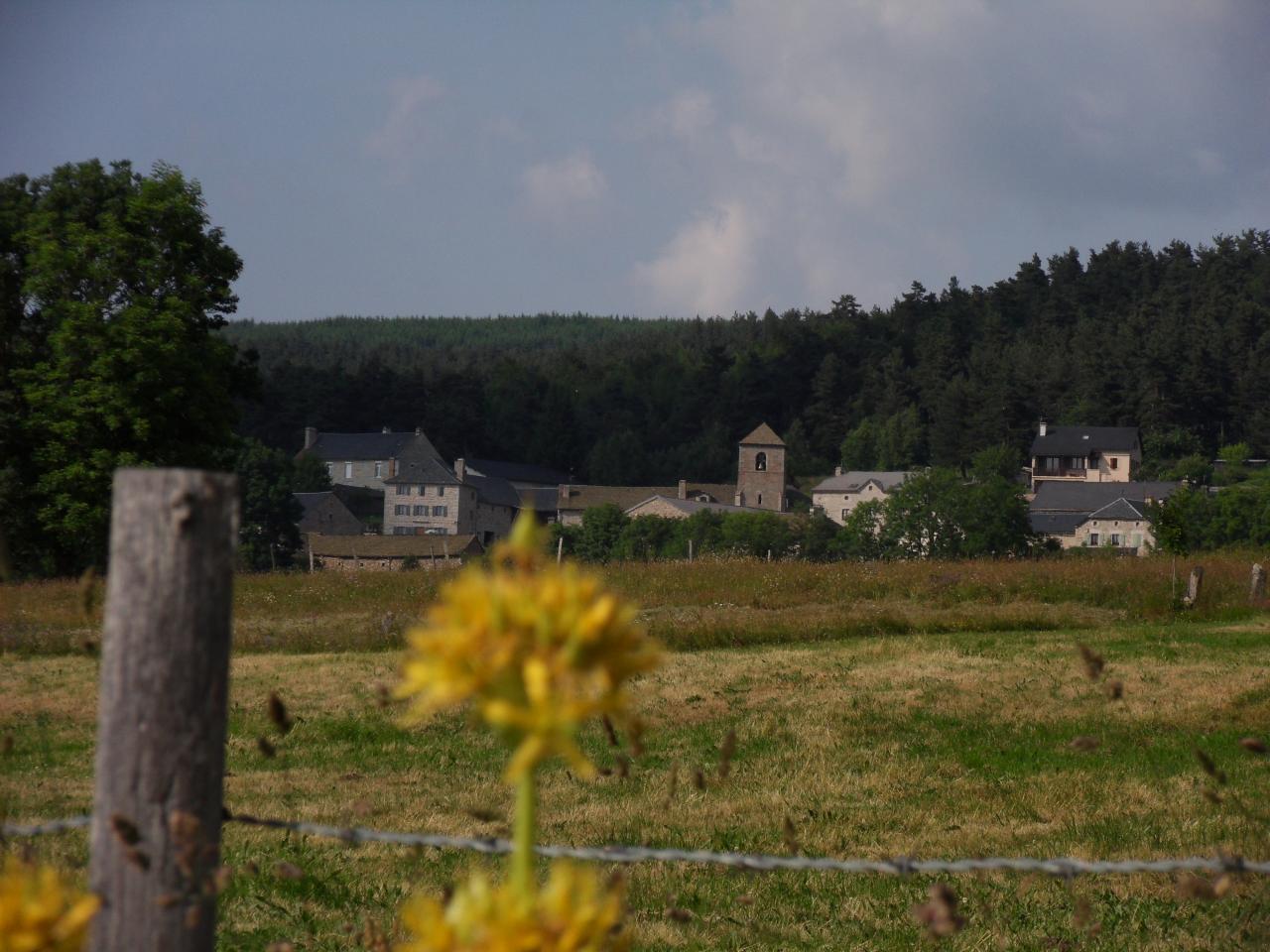 Le village de Lajo en juillet