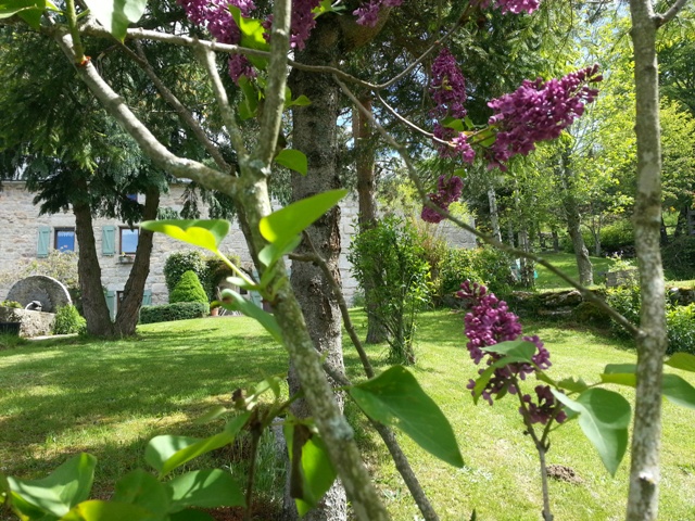 20160615 113547